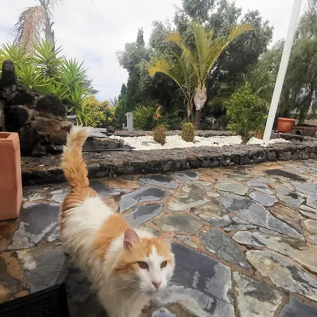 Casa Rural En Taucho Semesterbostad